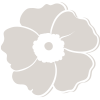 Fertility white flower